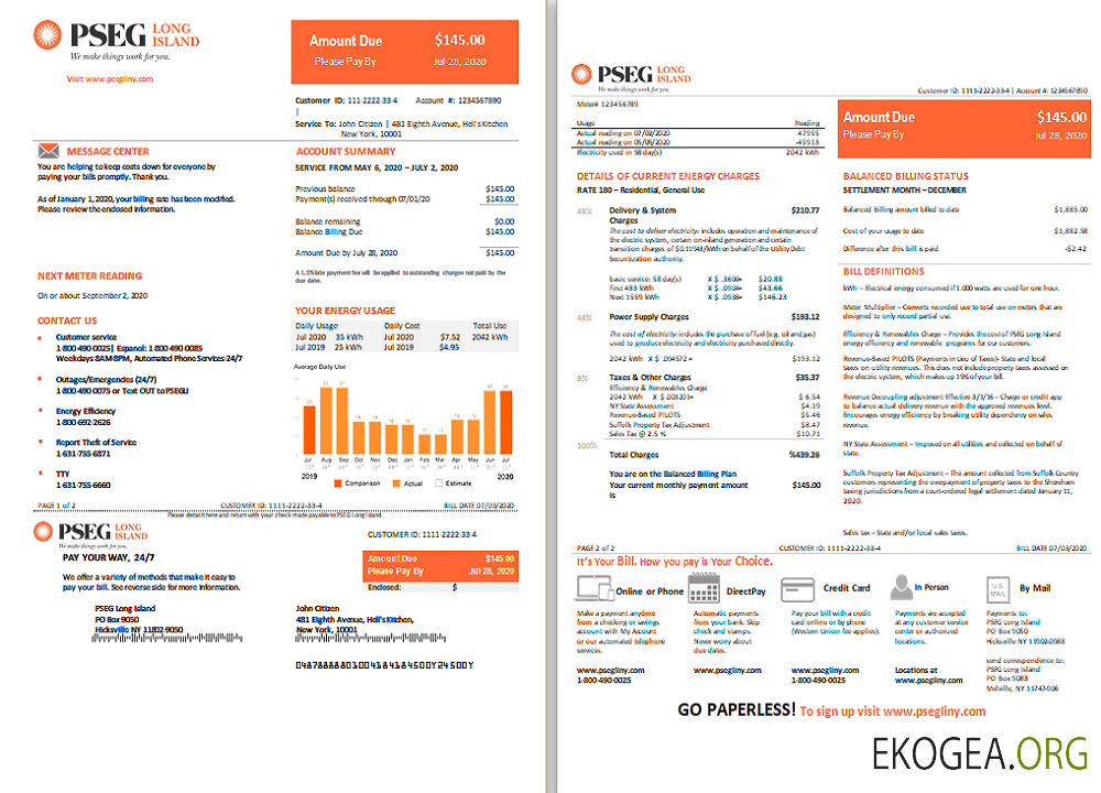 USA Long Island PSEG electricity